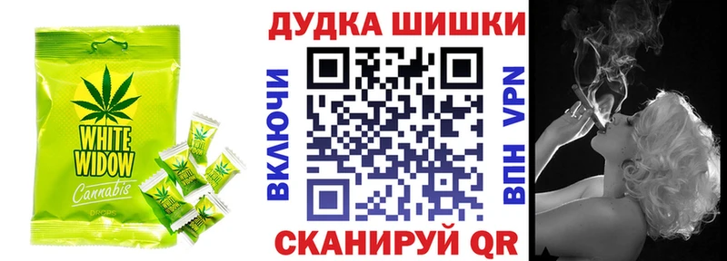 дарнет шоп  Сегежа  ссылка на мегу зеркало  Cannafood марихуана 